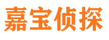 武汉市侦探公司